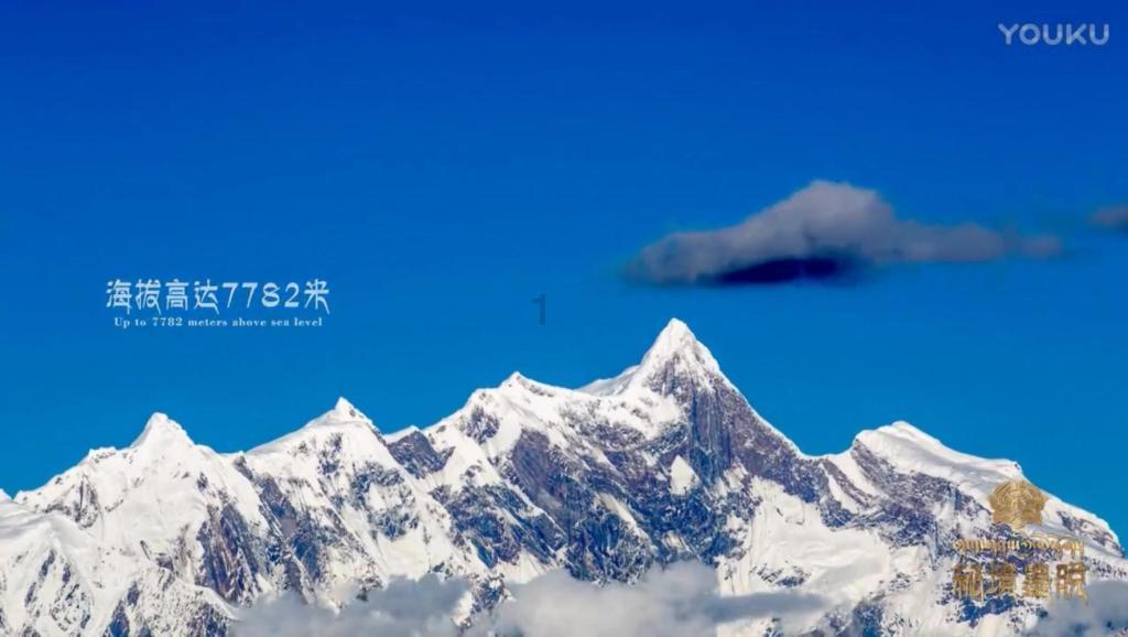发现惊人冷知识!了解70个口罩35那一个口罩多少钱?的最佳平台